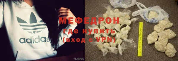 индика Медвежьегорск