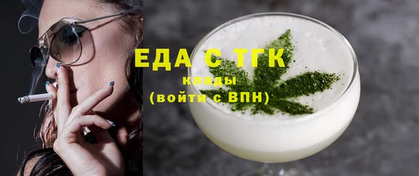 индика Медвежьегорск