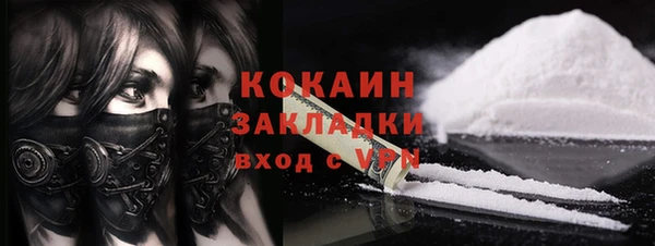 индика Медвежьегорск