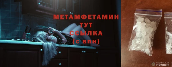 индика Медвежьегорск