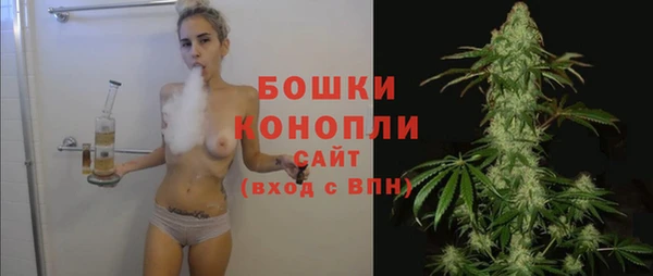 индика Медвежьегорск