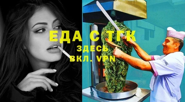 индика Медвежьегорск