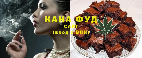 индика Медвежьегорск