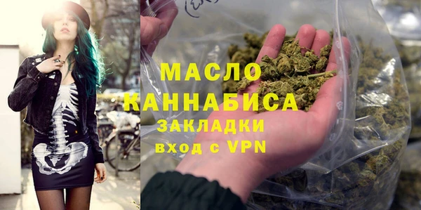 индика Медвежьегорск