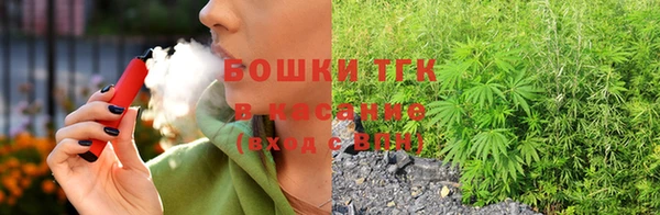 индика Медвежьегорск
