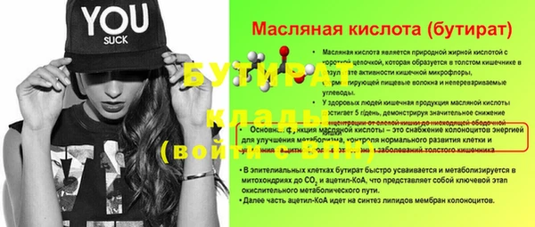 индика Медвежьегорск
