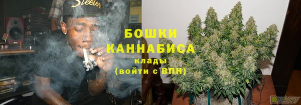 индика Медвежьегорск