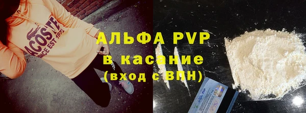 индика Медвежьегорск
